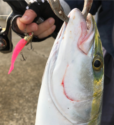 濁りがキツイ中　なんとか1本