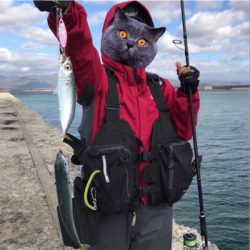 ヒラメを求めて☆西積丹☆五目釣り