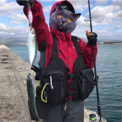 ヒラメを求めて☆西積丹☆五目釣り