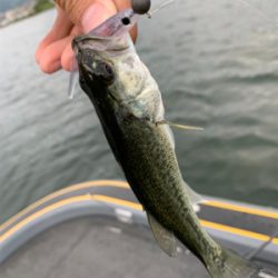 パンチショットやTOP、I字形など