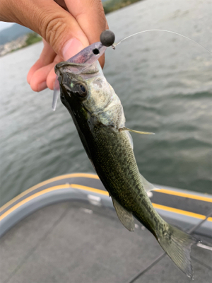 パンチショットやTOP、I字形など