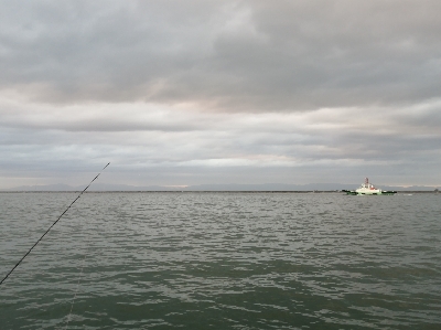 久しぶりのハマチ