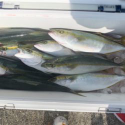 沖堤防でショアジギング