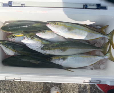 沖堤防でショアジギング