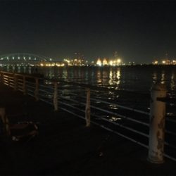 なんとかボウズ逃れ