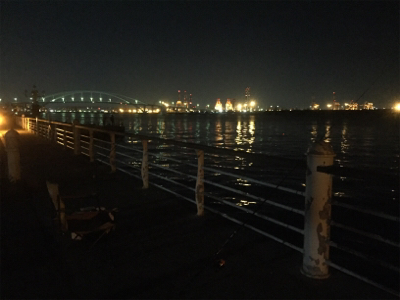 なんとかボウズ逃れ