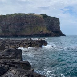 夜にエギング   朝はショアジギ