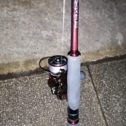 太刀魚リベンジ