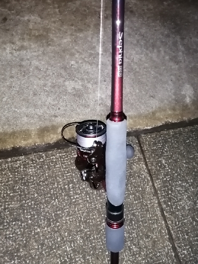 太刀魚リベンジ