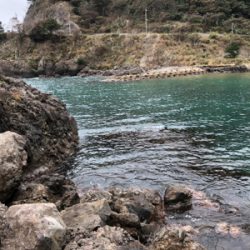 遅生まれってやつかな