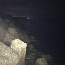 連日のアオリ釣り(^｡^)