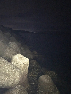 連日のアオリ釣り(^｡^)