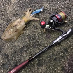 鳥取、島根の2泊3日遠征！