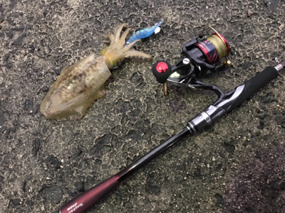 鳥取、島根の2泊3日遠征！