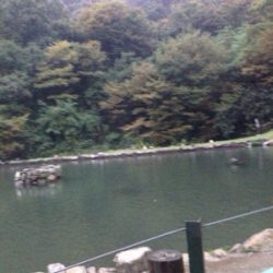 大雨は吉とでるか凶とでるか！？