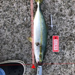 淡路島ランガン