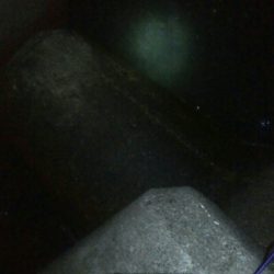 アオリイカ4杯 バラシ2杯！