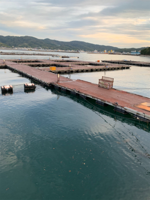 じゃのひれフィッシングパークにて