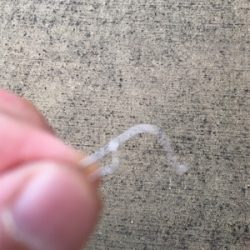 準備のの甘さで……。