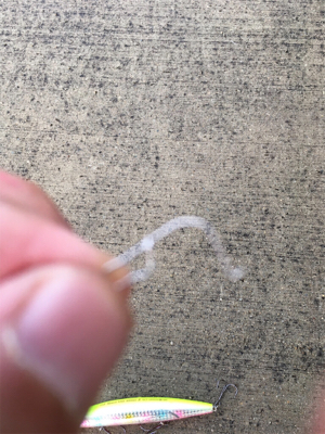 準備のの甘さで……。