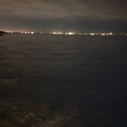 ナイト干潟ゲーム