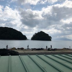 日本海エギング