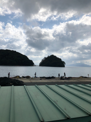 日本海エギング