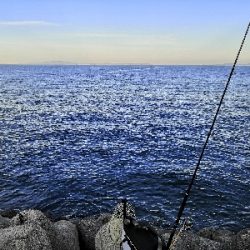 連戦でやっと2匹