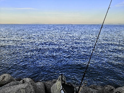 連戦でやっと2匹