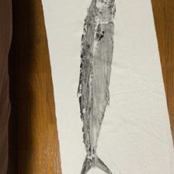 ハジメテノサワラ