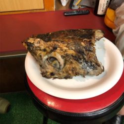 孝洋丸 落とし込み&飲ませ