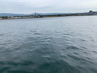 チャリコ4ひきフグいっぴき