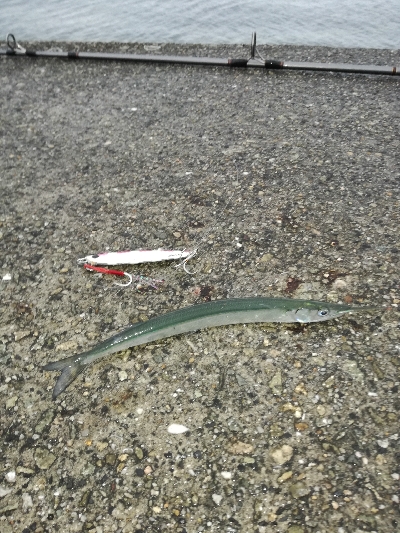 ベイトは多いが