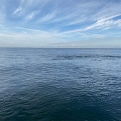 明石　　タコ釣り