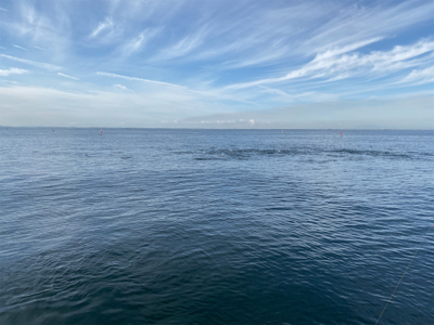 明石　　タコ釣り