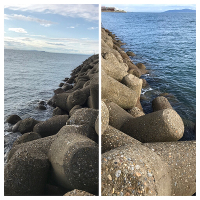 昼間の方がアオリイカが釣れる?(^.^)