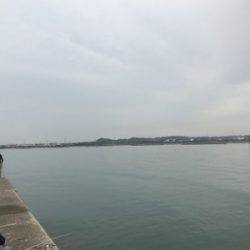 タチウオ、その他ショア ジギング