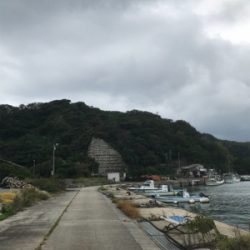 恵曇港初ライトゲーム