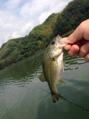 ターンオーバー桜池