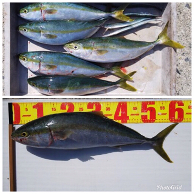 記録更新ショアジギ