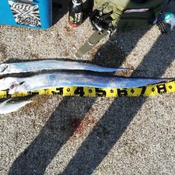 ドラゴン取ったどぉ