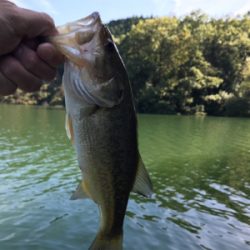 午前中ボート釣行！