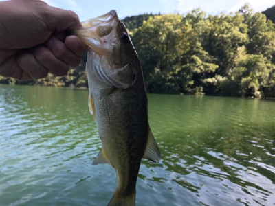 午前中ボート釣行！