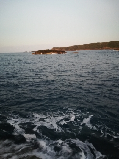 アオリイカ秋エギング