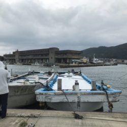 久々のサビキ釣り