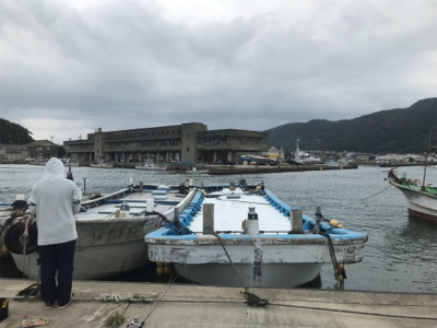 久々のサビキ釣り