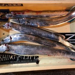 カラーチェンジが大事です