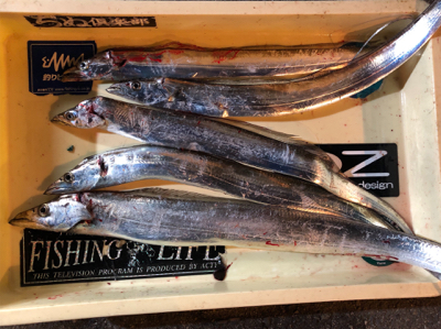 カラーチェンジが大事です