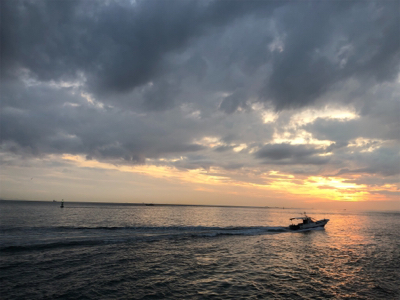 寒い、渋い、秋エギング終盤