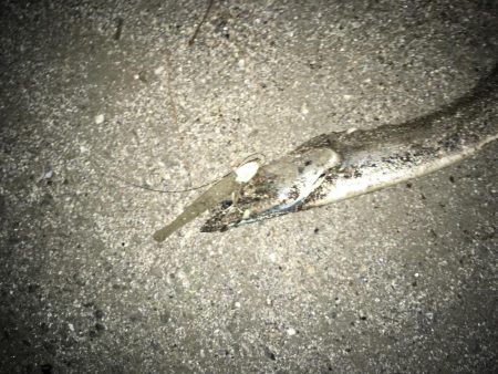 青物撃沈からの勝率100%の刀狩